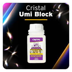 Umi Block | Escuta o Véio!