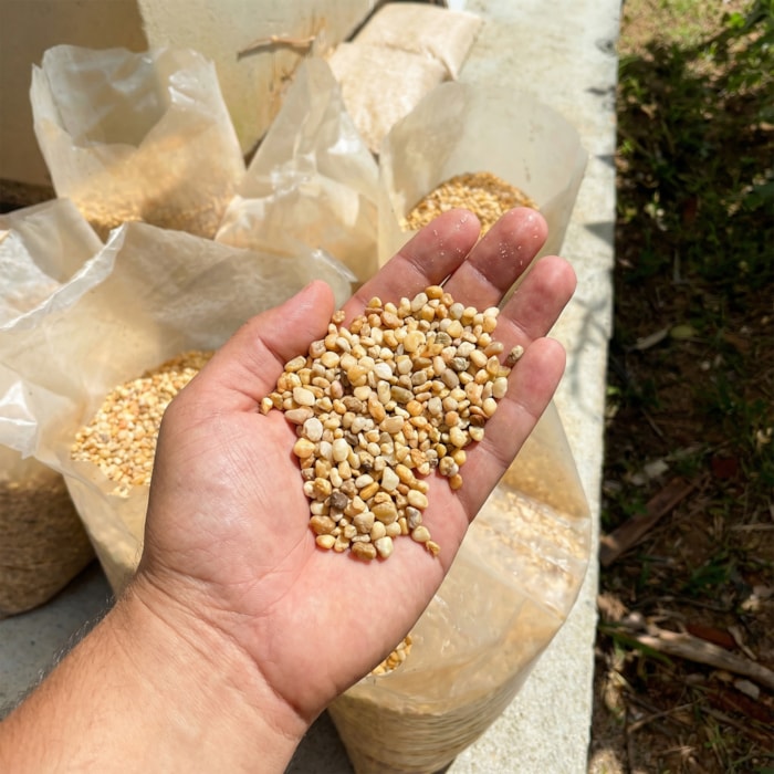 -36933d73-d1e9-4ffa-8b31-e8d0bc3ab5ad