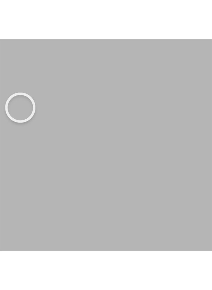 LT Concrete Shiner 1KG Iva