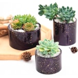 Molde de Silicone Mini Pote de Flor 93x90mm - foto 4
