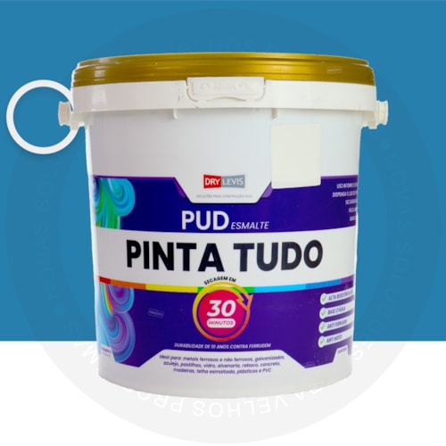 Pinta Tudo 5 em 1 Bi Componente Semi Brilho 3KG Azul Oceano