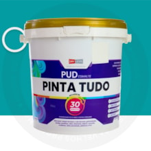 Pinta Tudo 5 em 1 Bi Componente Semi Brilho 3KG Menta