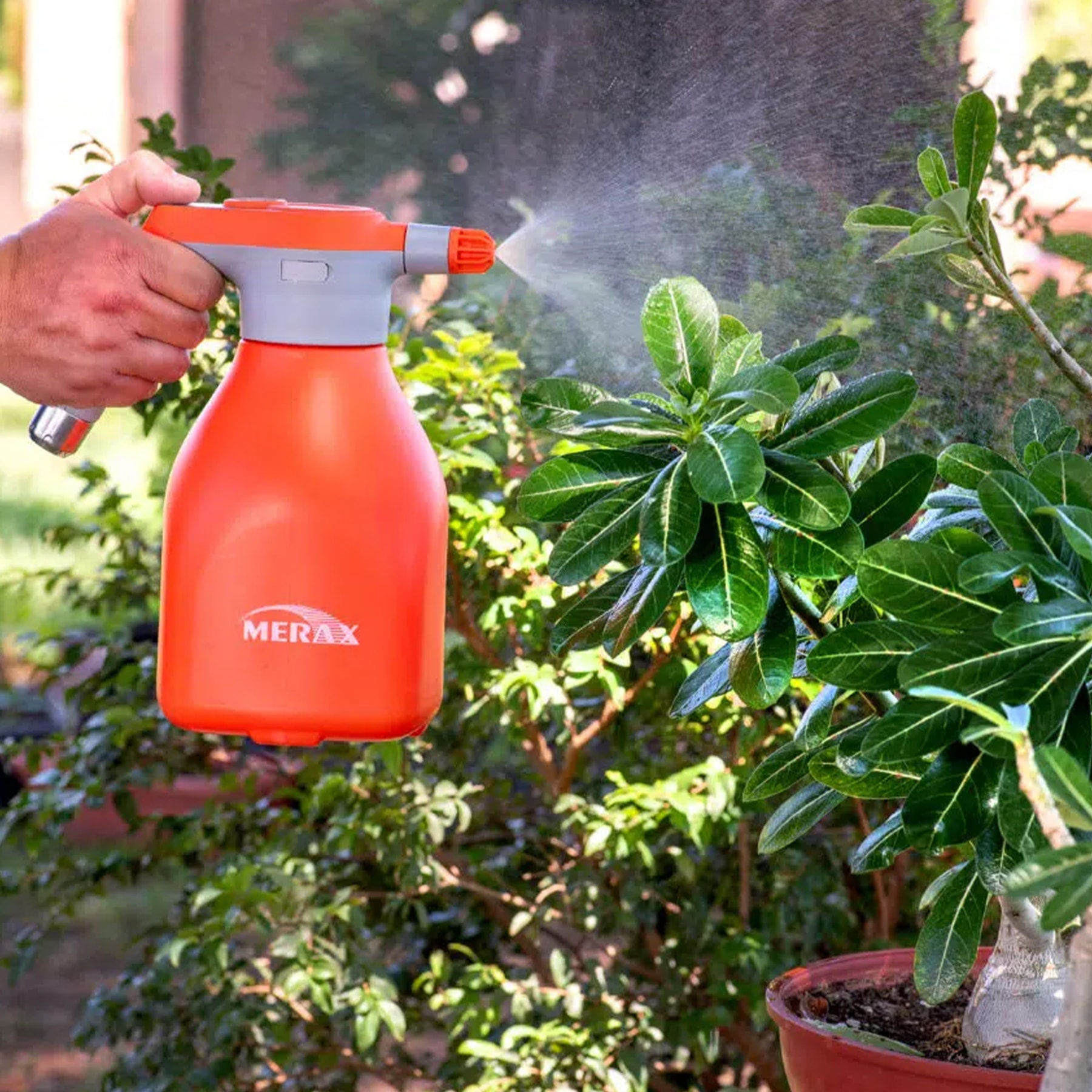 image_e3b23873-8553-47a5-80d5-3a145c840cd6