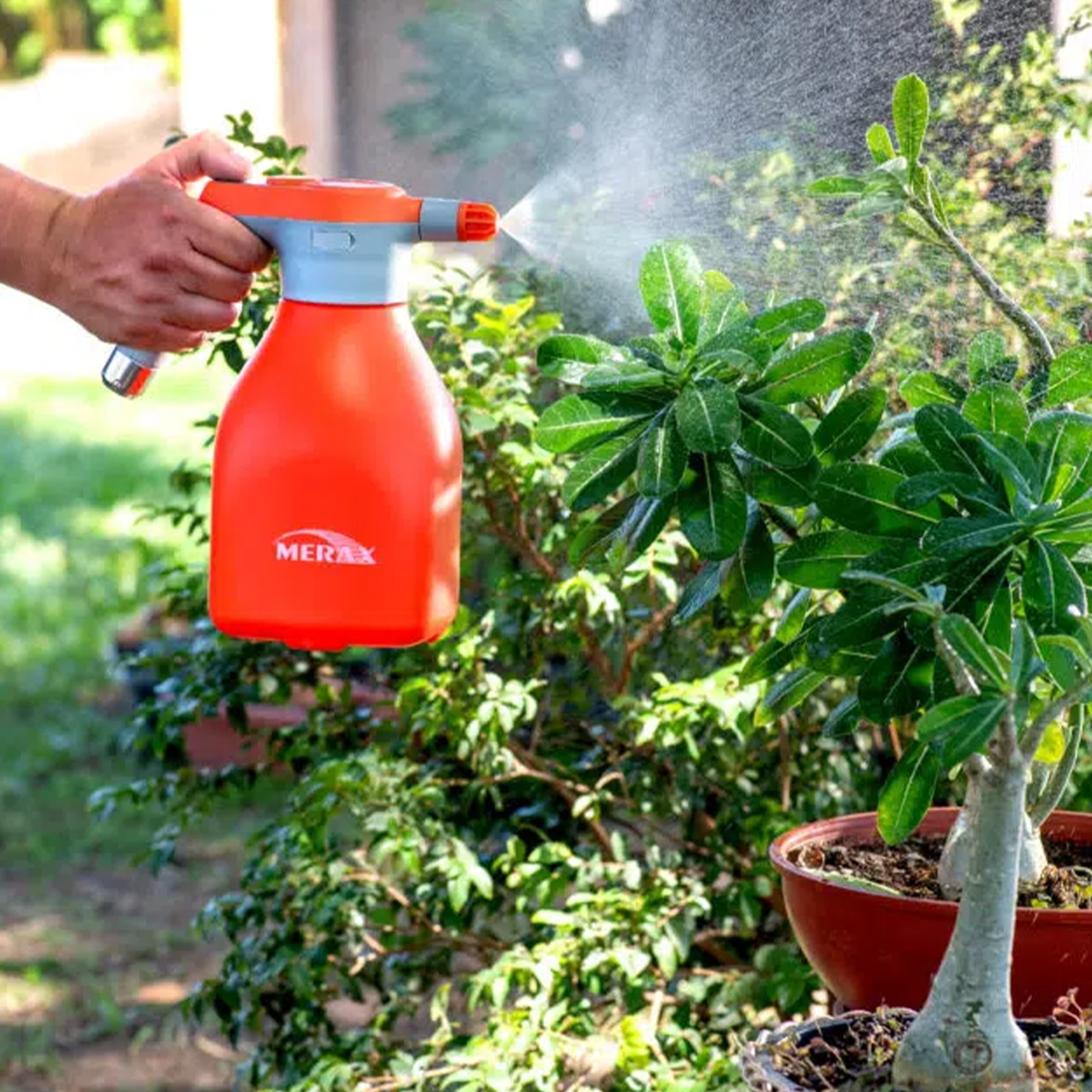 image_7ada5fb3-4387-4739-98ca-52b3dd9bdf6b