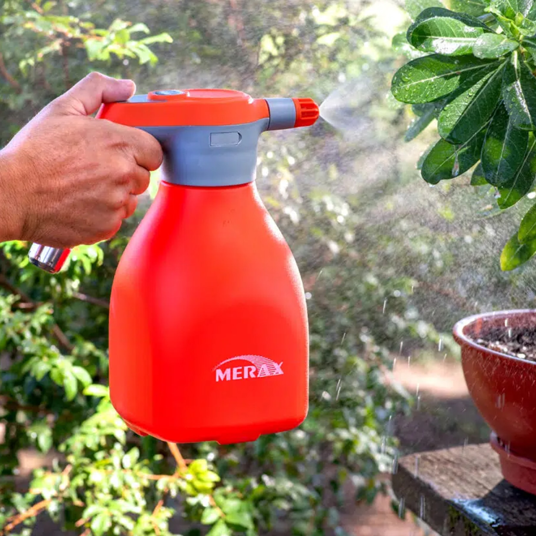 image_ee1cf8bf-8bfd-4fd7-8a94-a6762087bbc7