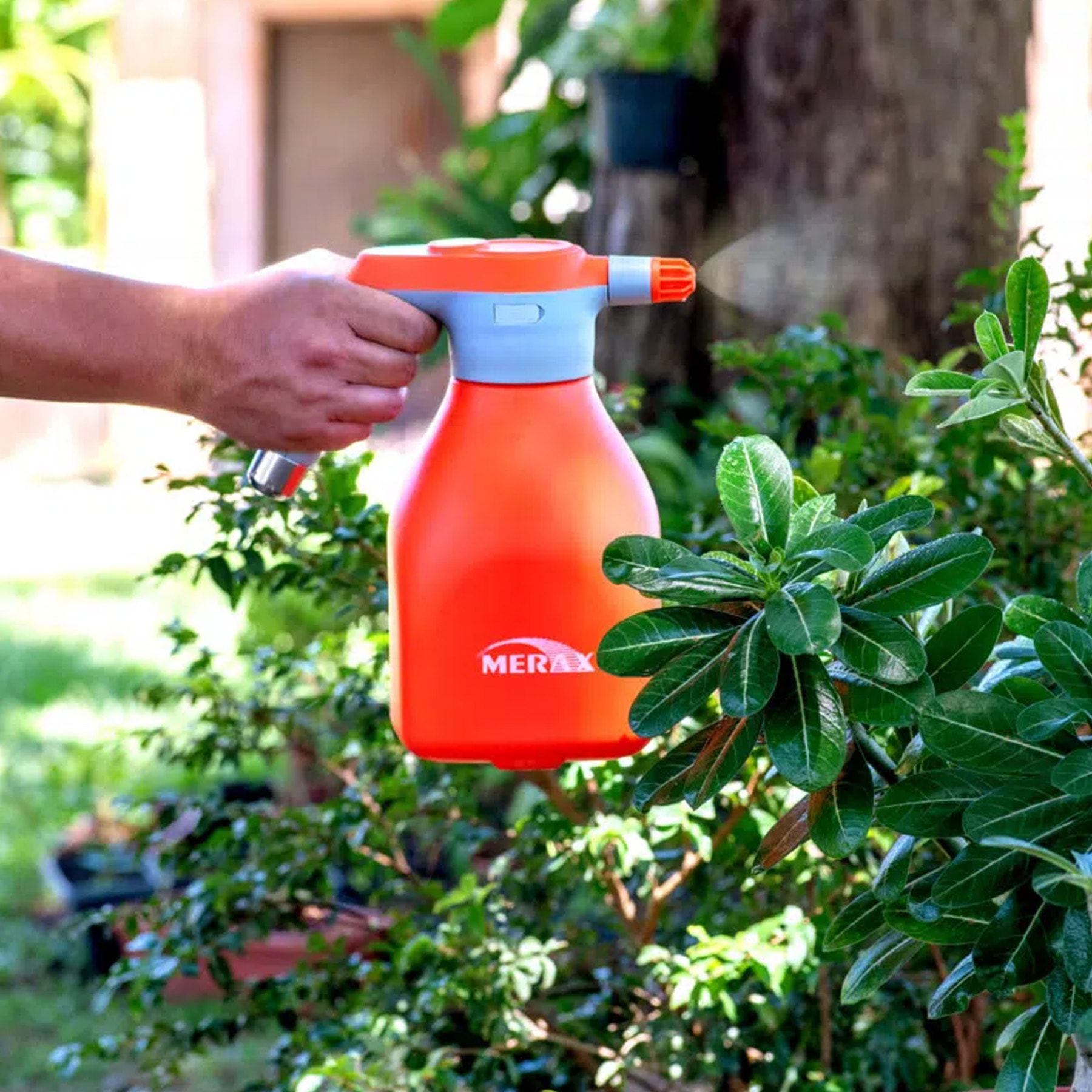 image_88719d9e-6ae6-4d03-a39a-ed80597a1d46