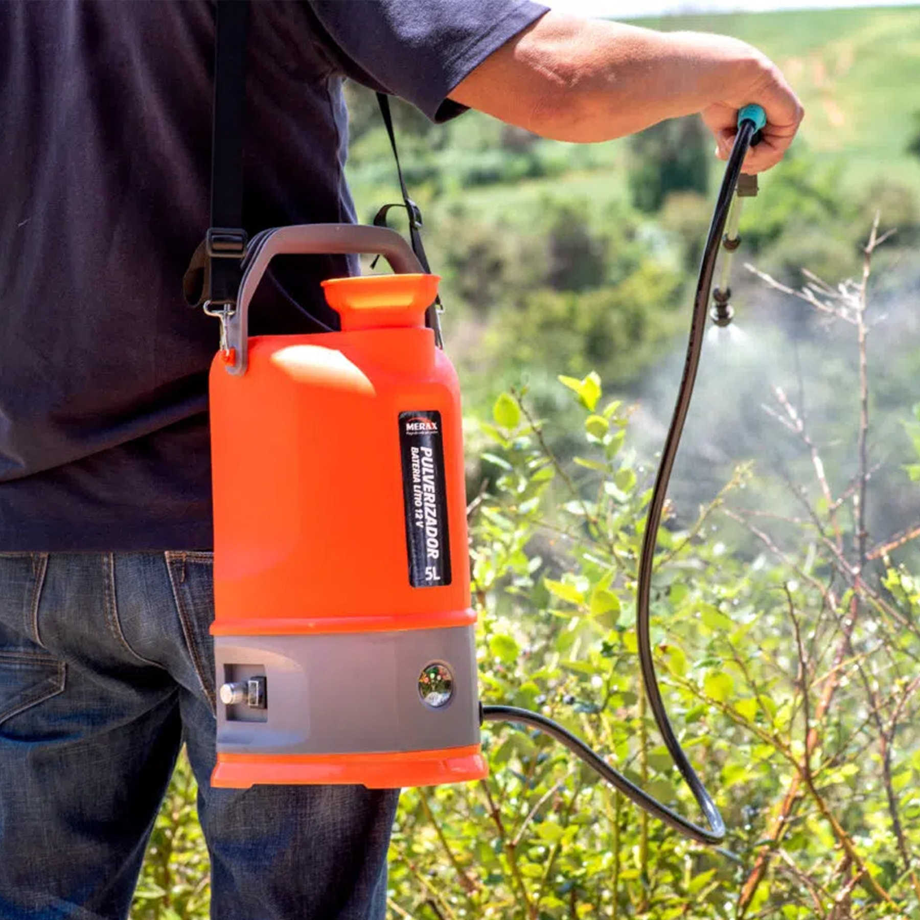 image_941f6543-8a29-4c1e-8ff6-a84272f77b23