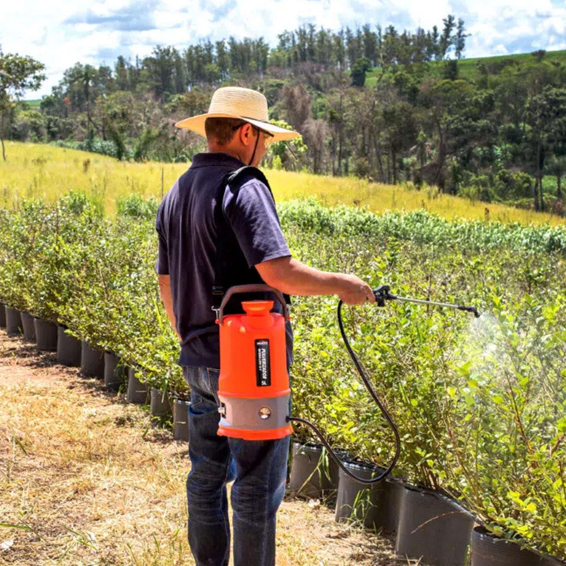 image_c3118f9c-6906-4968-b2a4-2d3a5a3f52c1