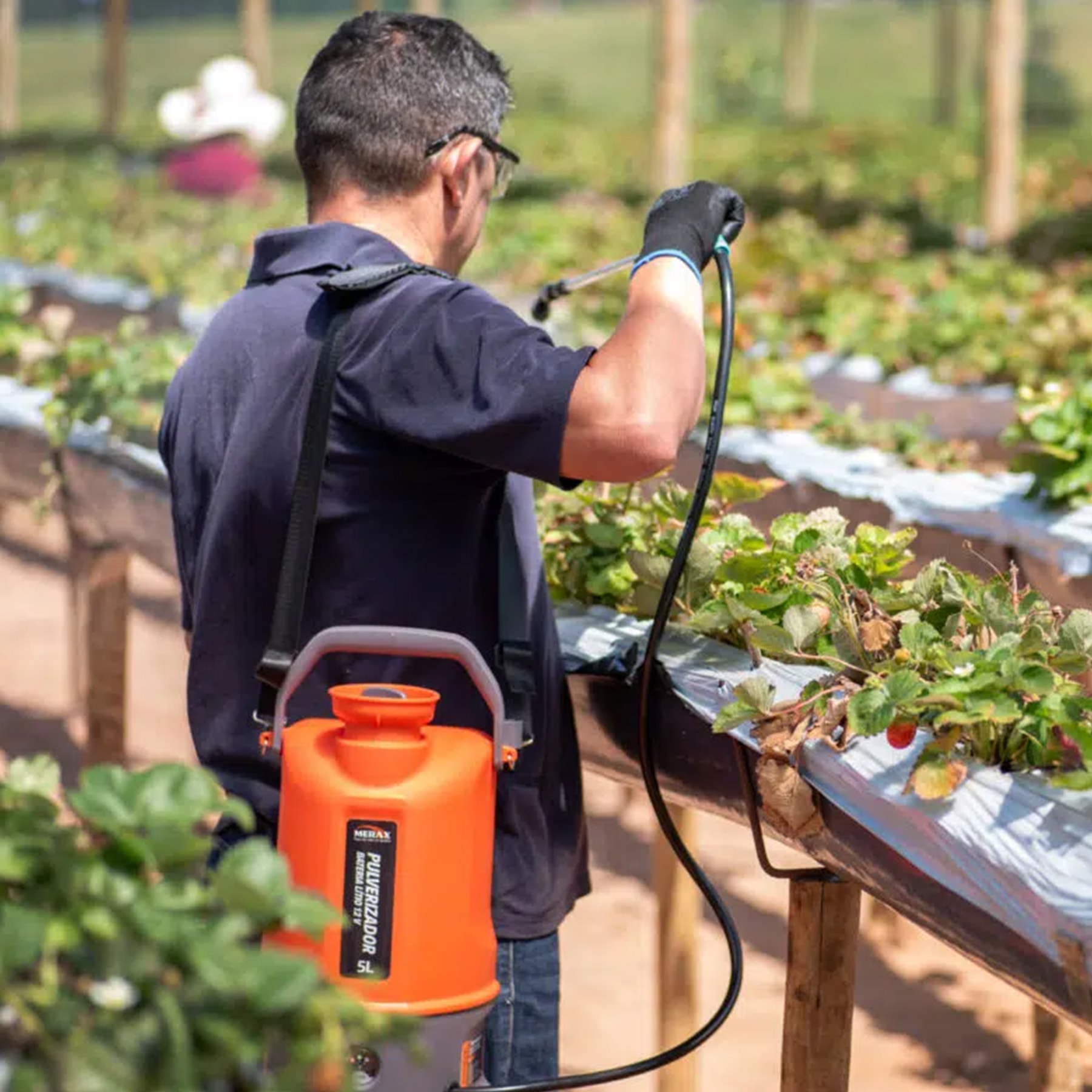 image_327b437c-9a6d-4522-b998-28a9713899a8