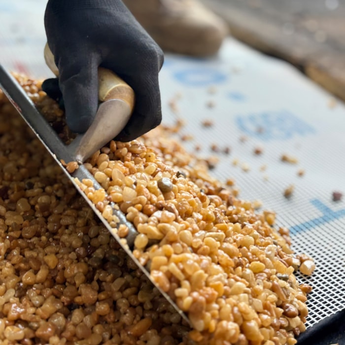 -b5b408da-cb27-4d33-8618-3efd1fc958ca