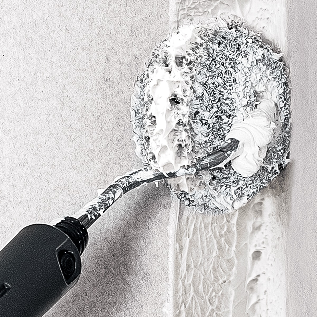 image_5556ae29-afaf-4aaf-a266-a6be6c021ef9