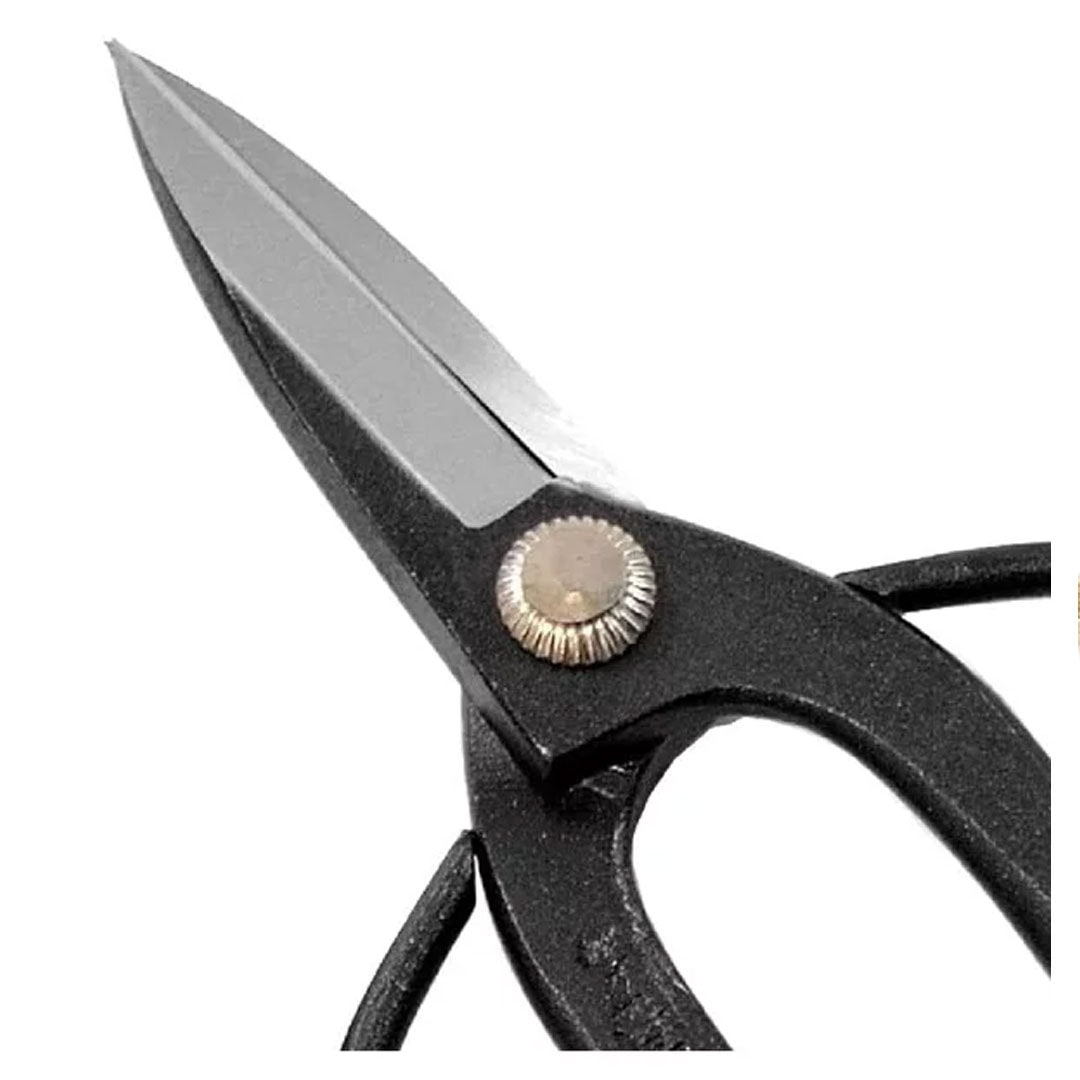 image_f2ecb2f2-402c-4e90-bd30-03cf8127dddc