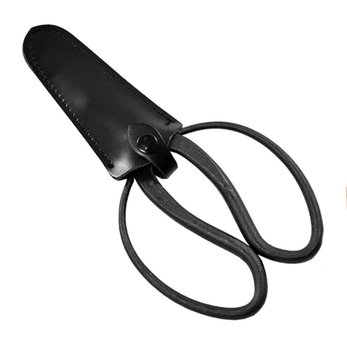 -6f33dfed-f6d9-45f6-abb9-067a45ca0cc5