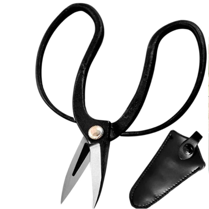 -4019cd01-3d91-4616-9b04-b55e737835ed