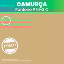 Tinta Elástica Smart Color Fosco 3,6L Camurça